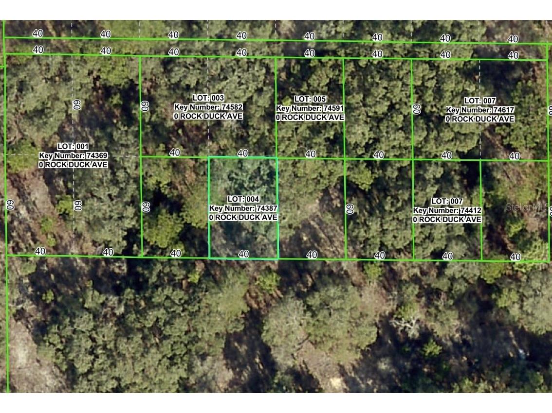 Rock Duck Avenue Brooksville FL 34614 W7879499 image1