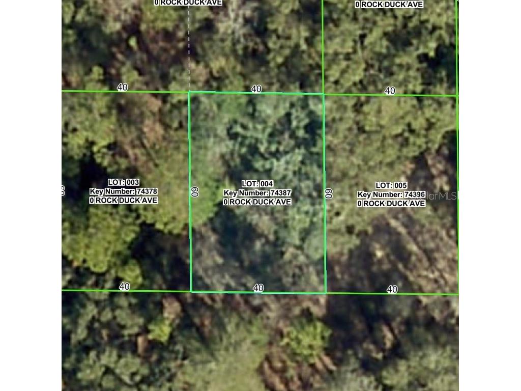 Rock Duck Avenue Brooksville FL 34614 W7879499 image2