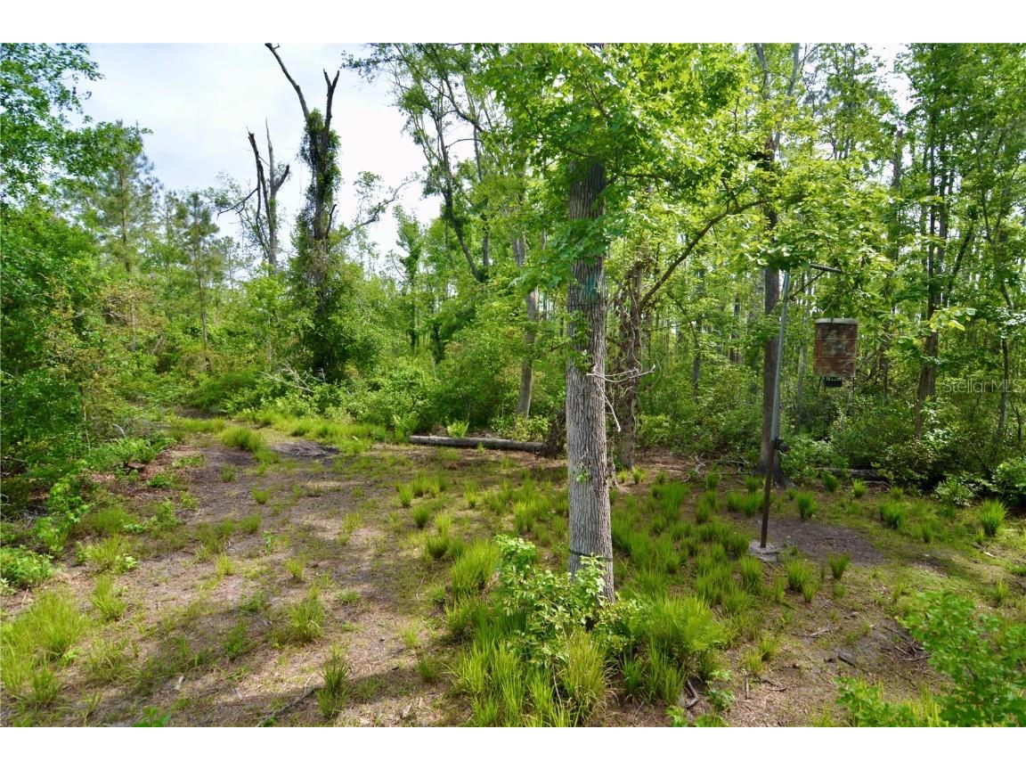 Rock Island Road Perry FL 32347 OM700564 image11