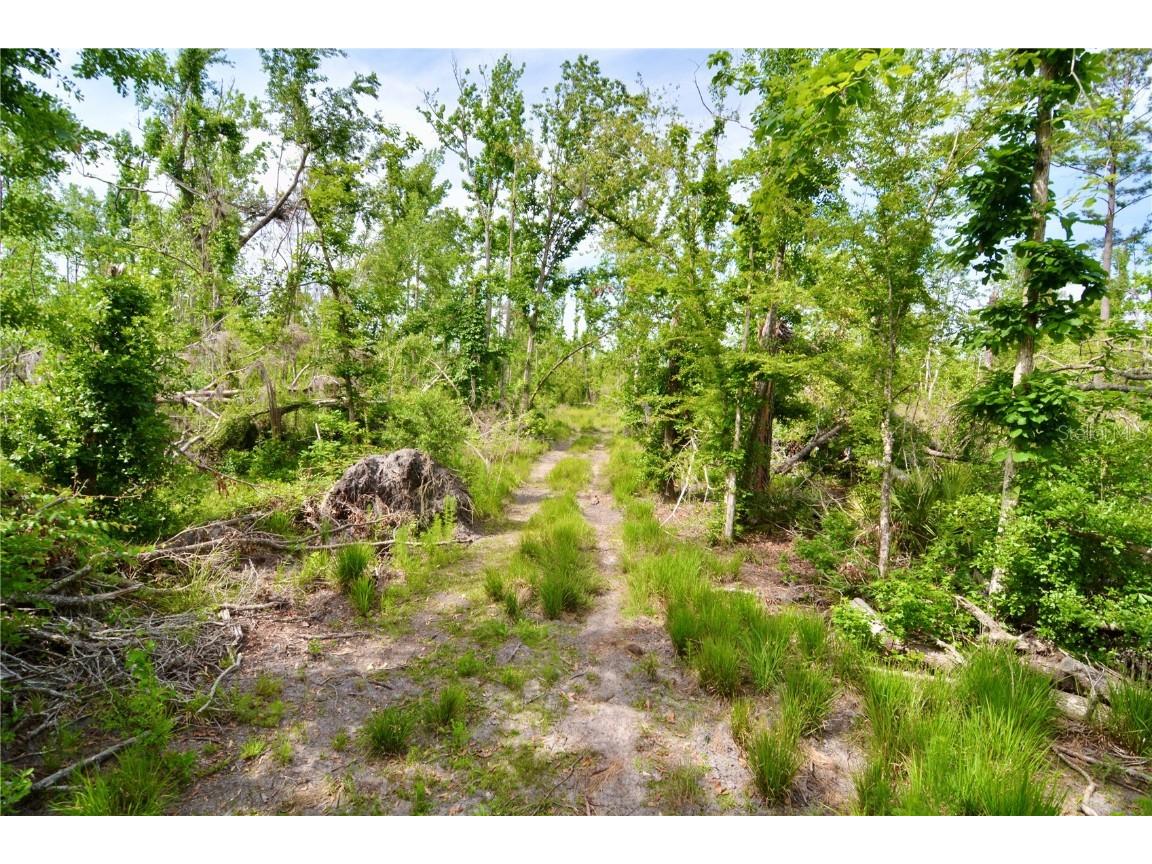 Rock Island Road Perry FL 32347 OM700564 image12