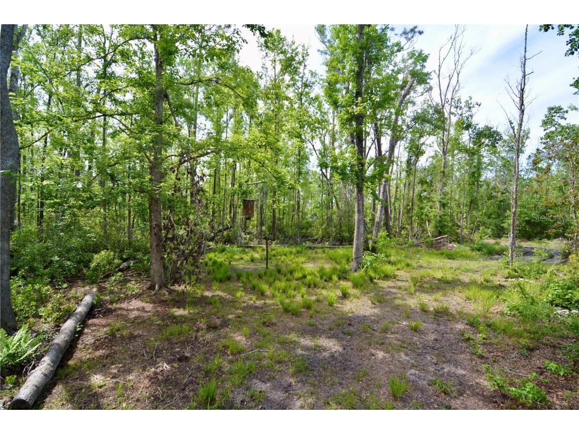 Rock Island Road Perry FL 32347 OM700564 image14