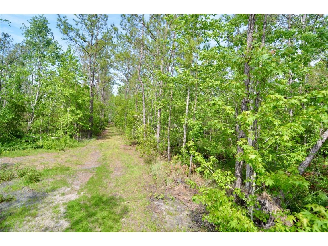 Rock Island Road Perry FL 32347 OM700564 image15