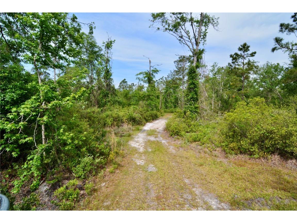 Rock Island Road Perry FL 32347 OM700564 image16