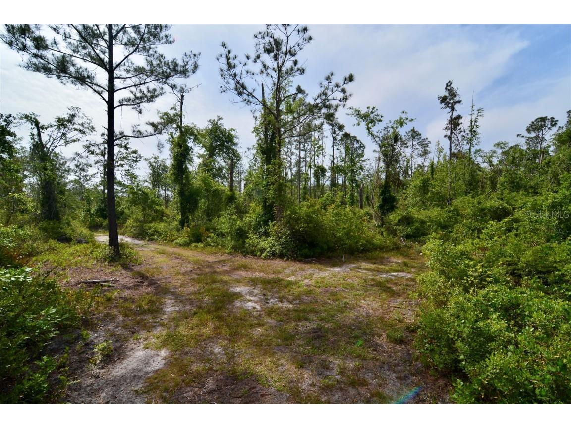 Rock Island Road Perry FL 32347 OM700564 image17