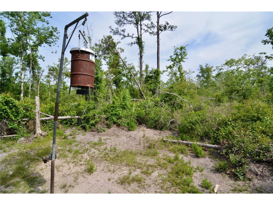 Rock Island Road Perry FL 32347 OM700564 image19