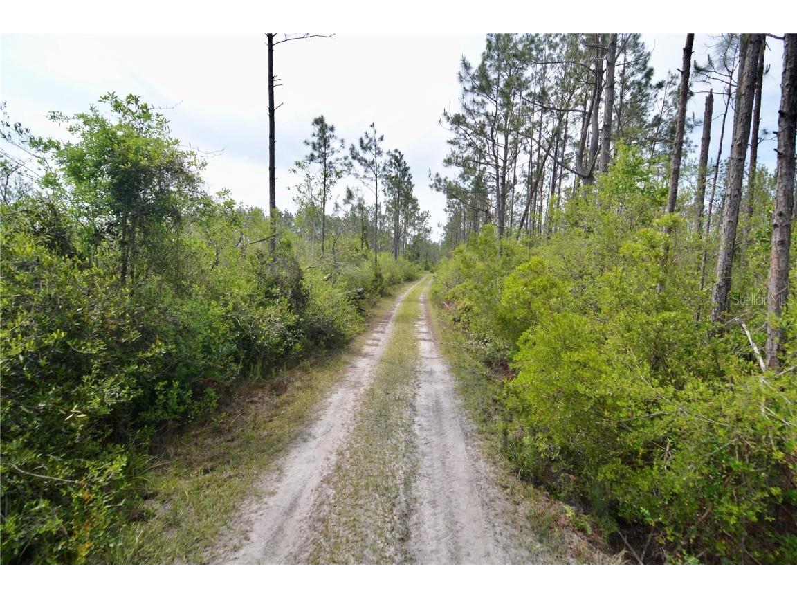 Rock Island Road Perry FL 32347 OM700564 image20