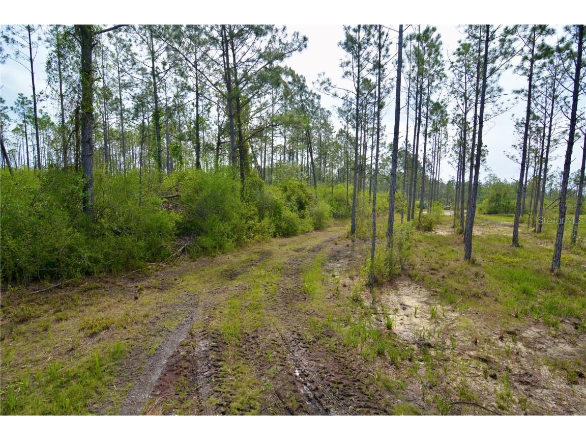 Rock Island Road Perry FL 32347 OM700564 image21