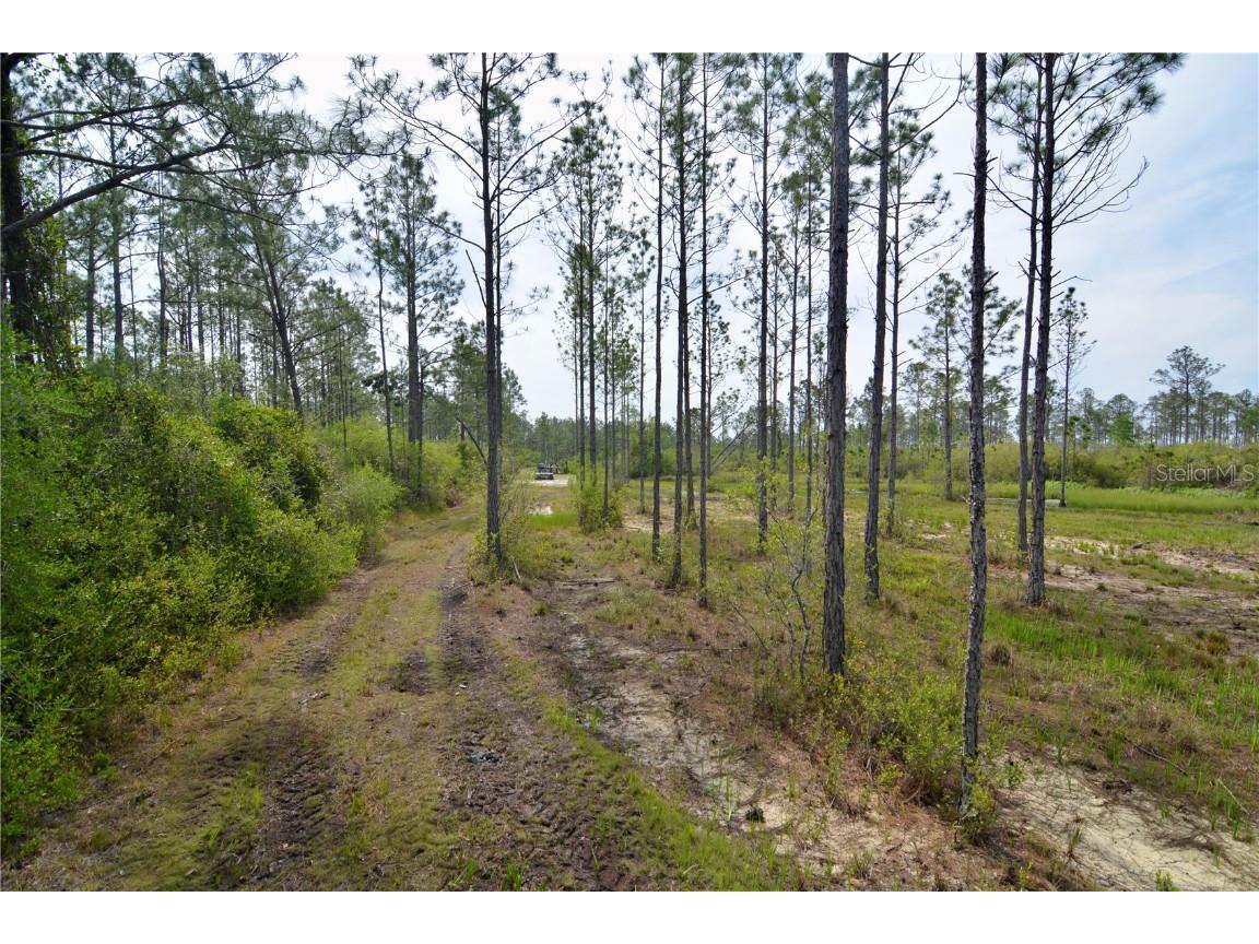 Rock Island Road Perry FL 32347 OM700564 image22