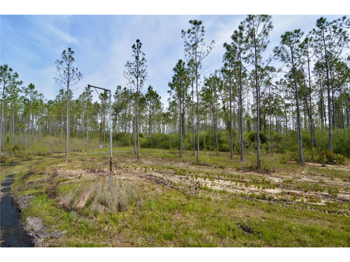 Rock Island Road Perry FL 32347 OM700564 image23