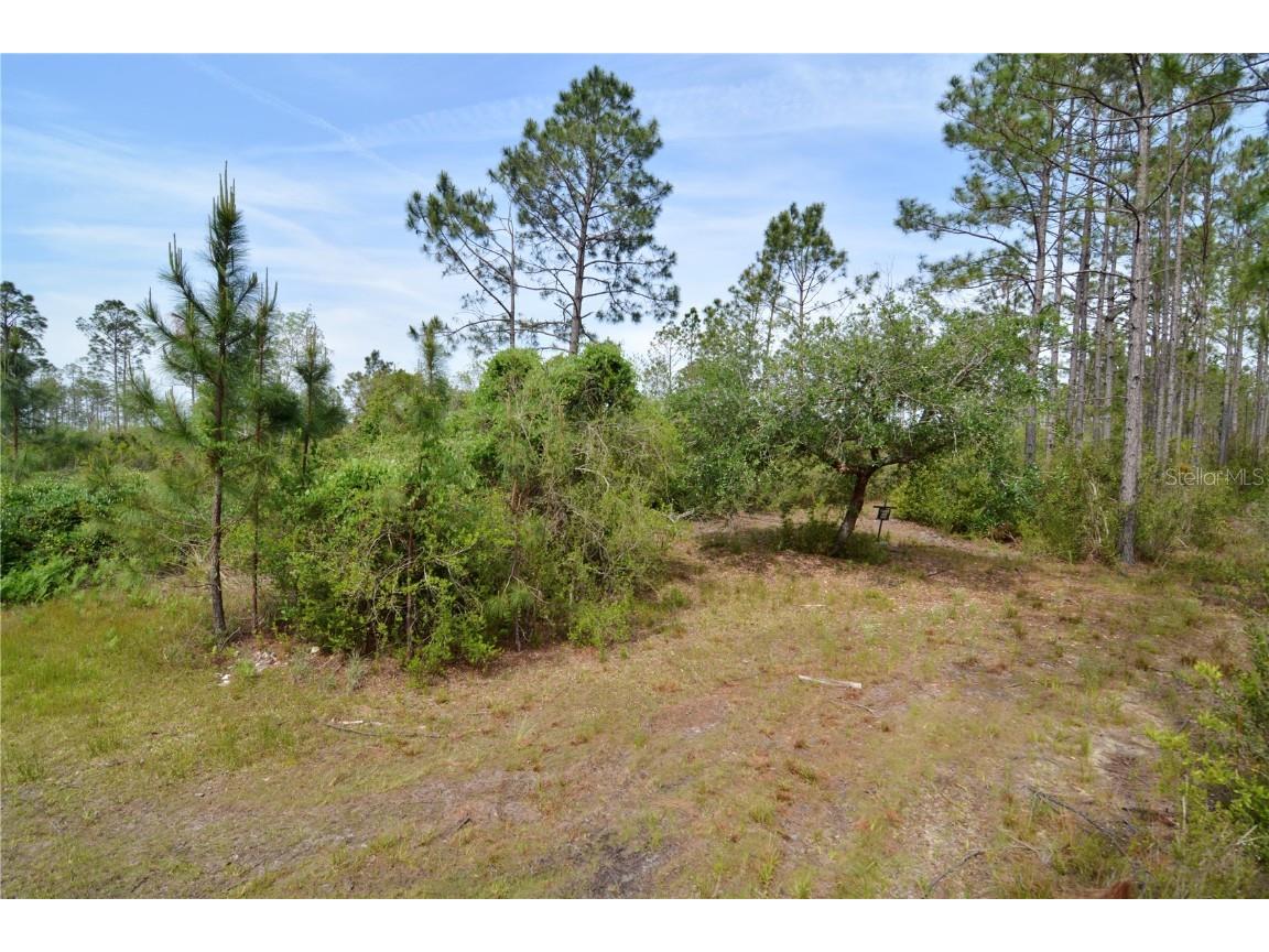 Rock Island Road Perry FL 32347 OM700564 image24