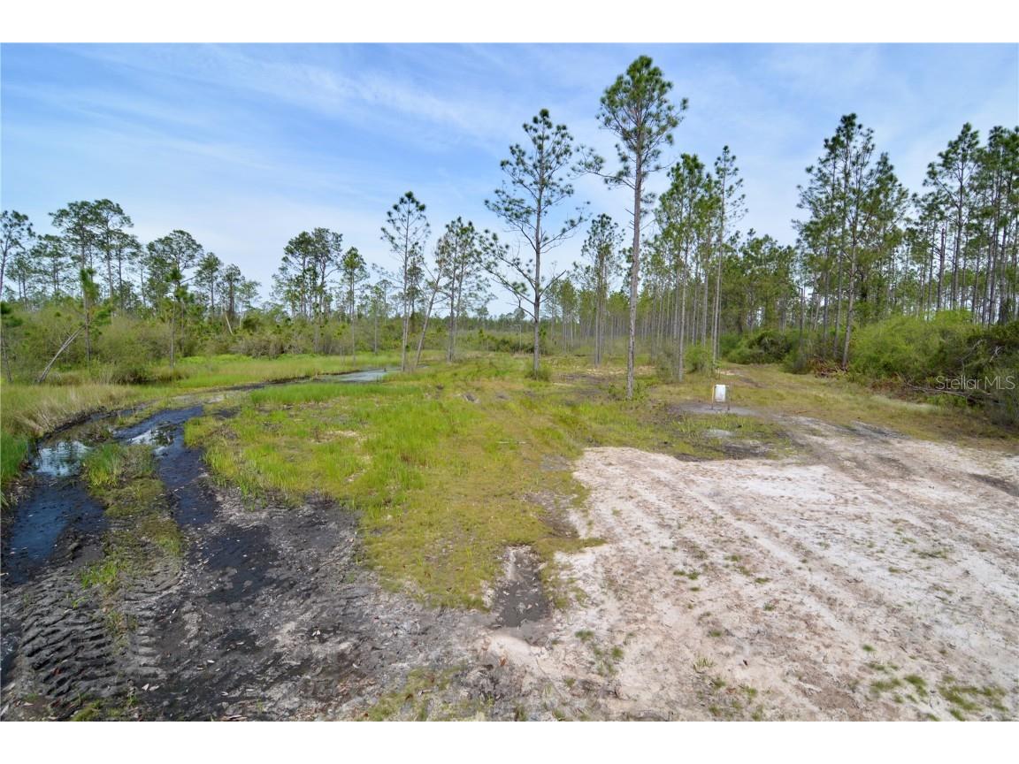 Rock Island Road Perry FL 32347 OM700564 image46