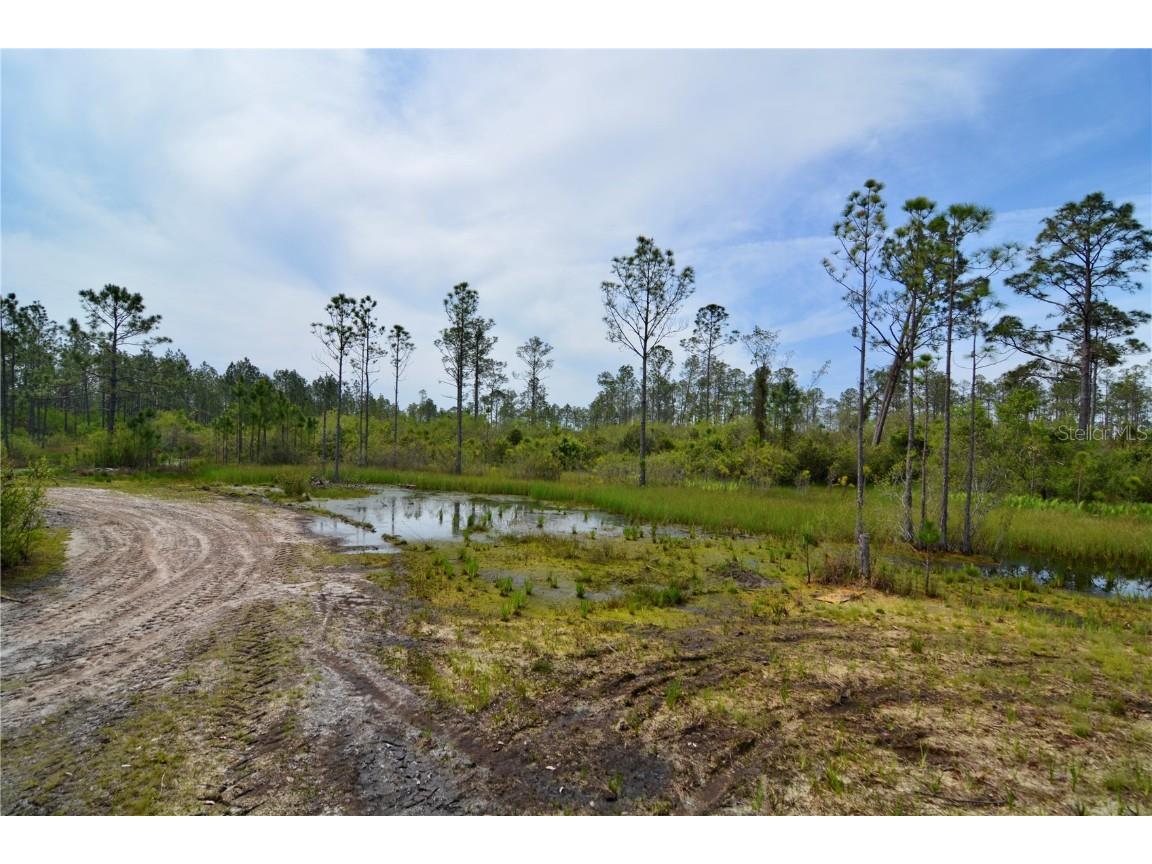 Rock Island Road Perry FL 32347 OM700564 image47