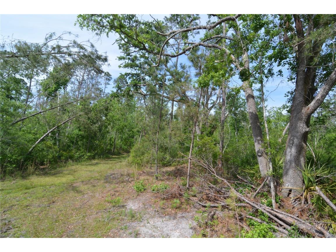 Rock Island Road Perry FL 32347 OM700564 image49