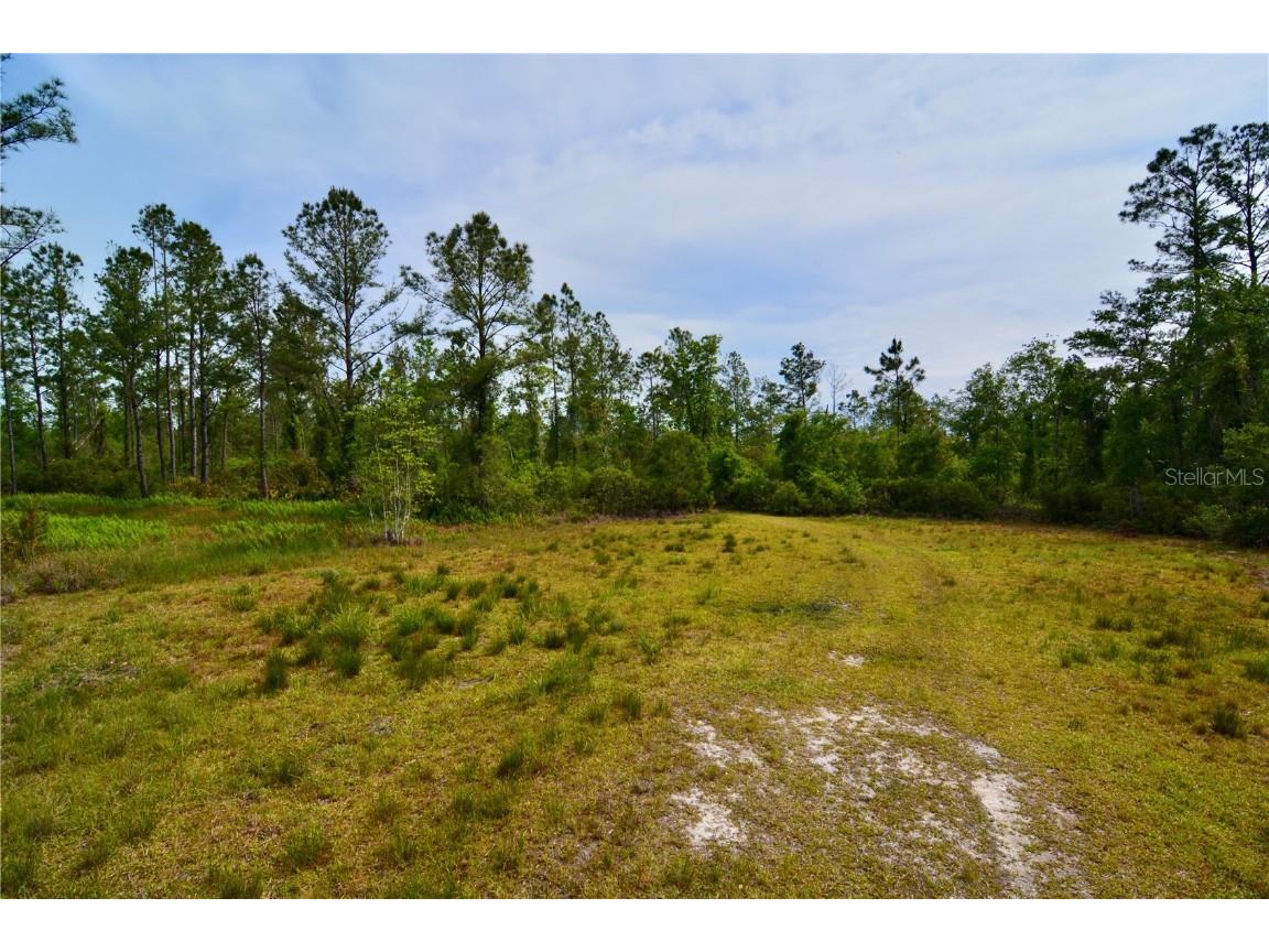 Rock Island Road Perry FL 32347 OM700564 image6