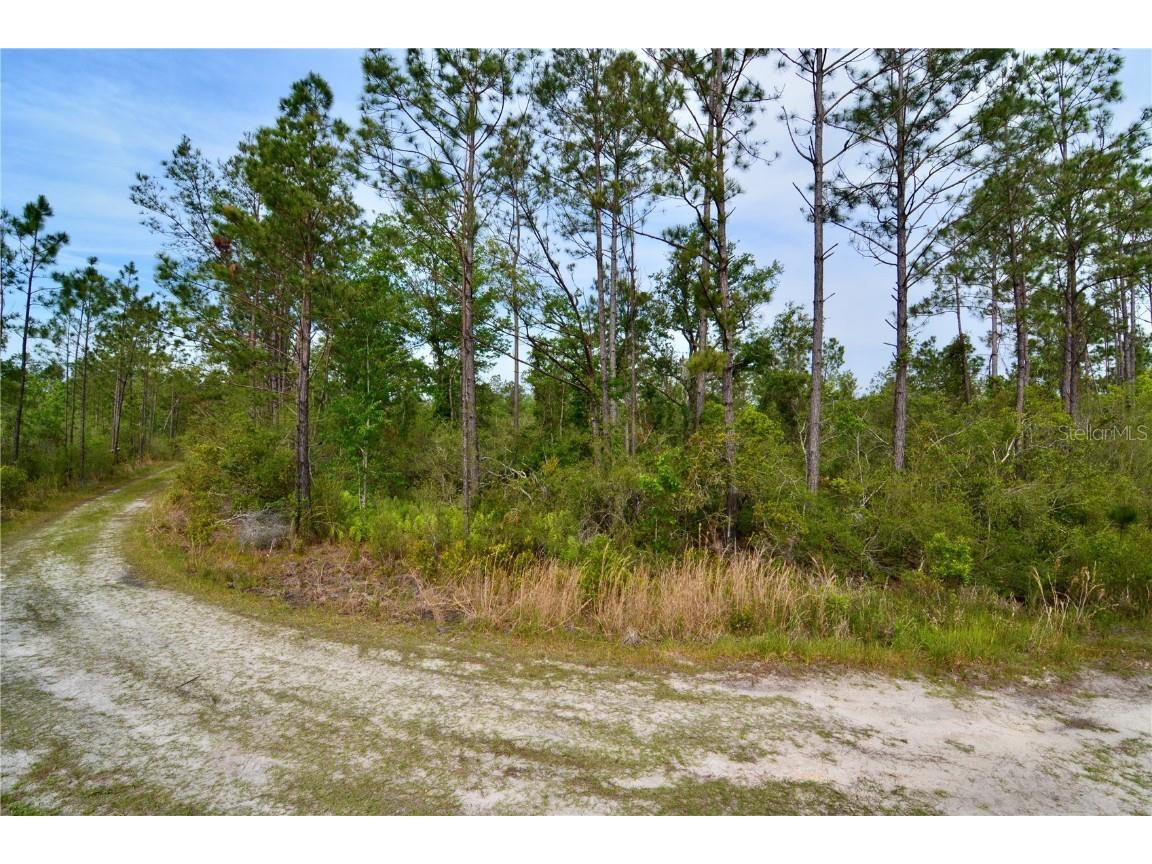 Rock Island Road Perry FL 32347 OM700564 image62