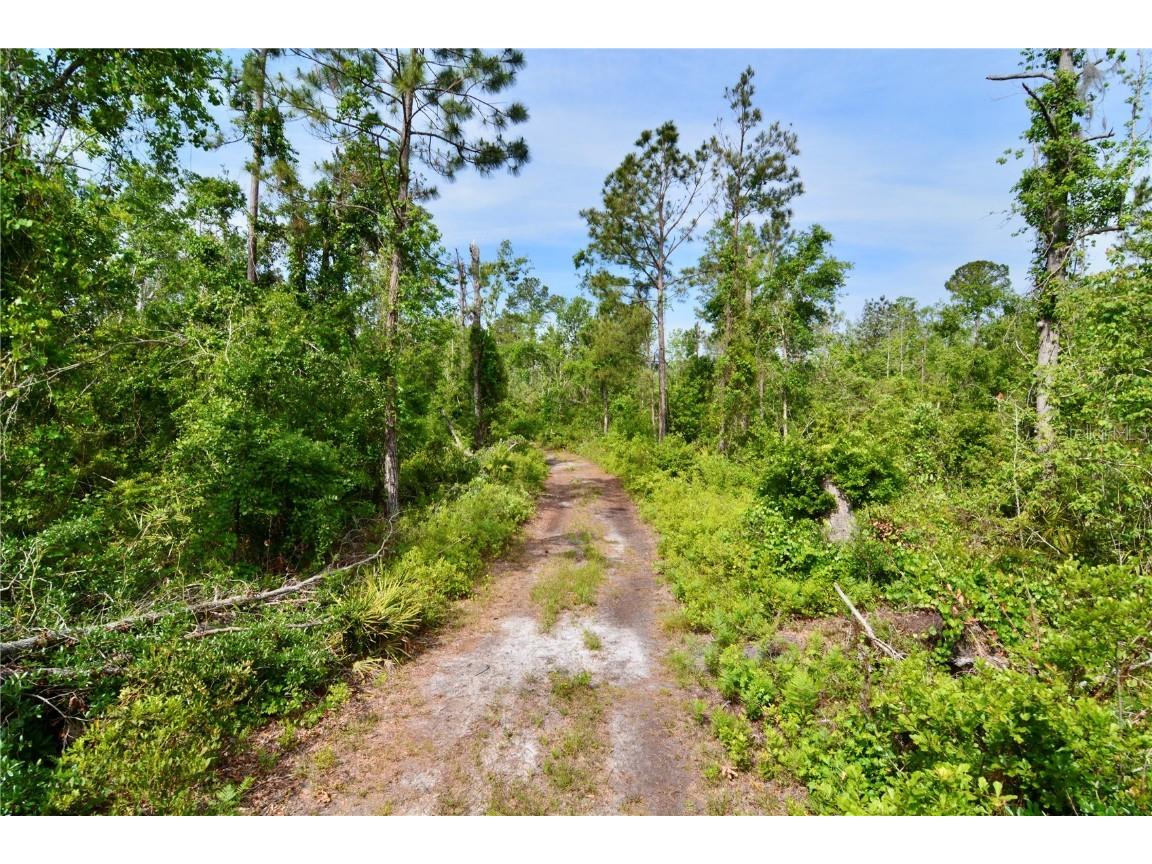 Rock Island Road Perry FL 32347 OM700564 image63