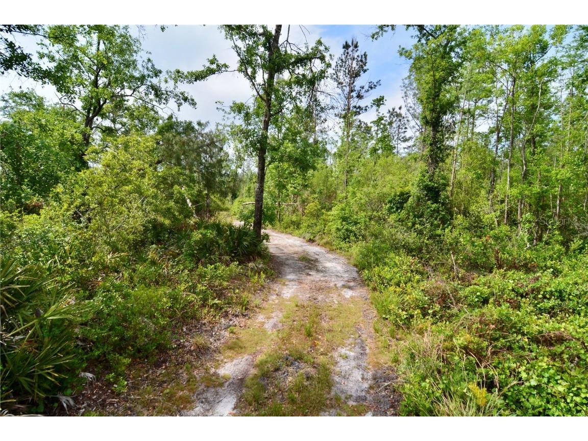 Rock Island Road Perry FL 32347 OM700564 image64