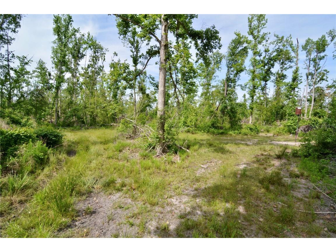 Rock Island Road Perry FL 32347 OM700564 image65