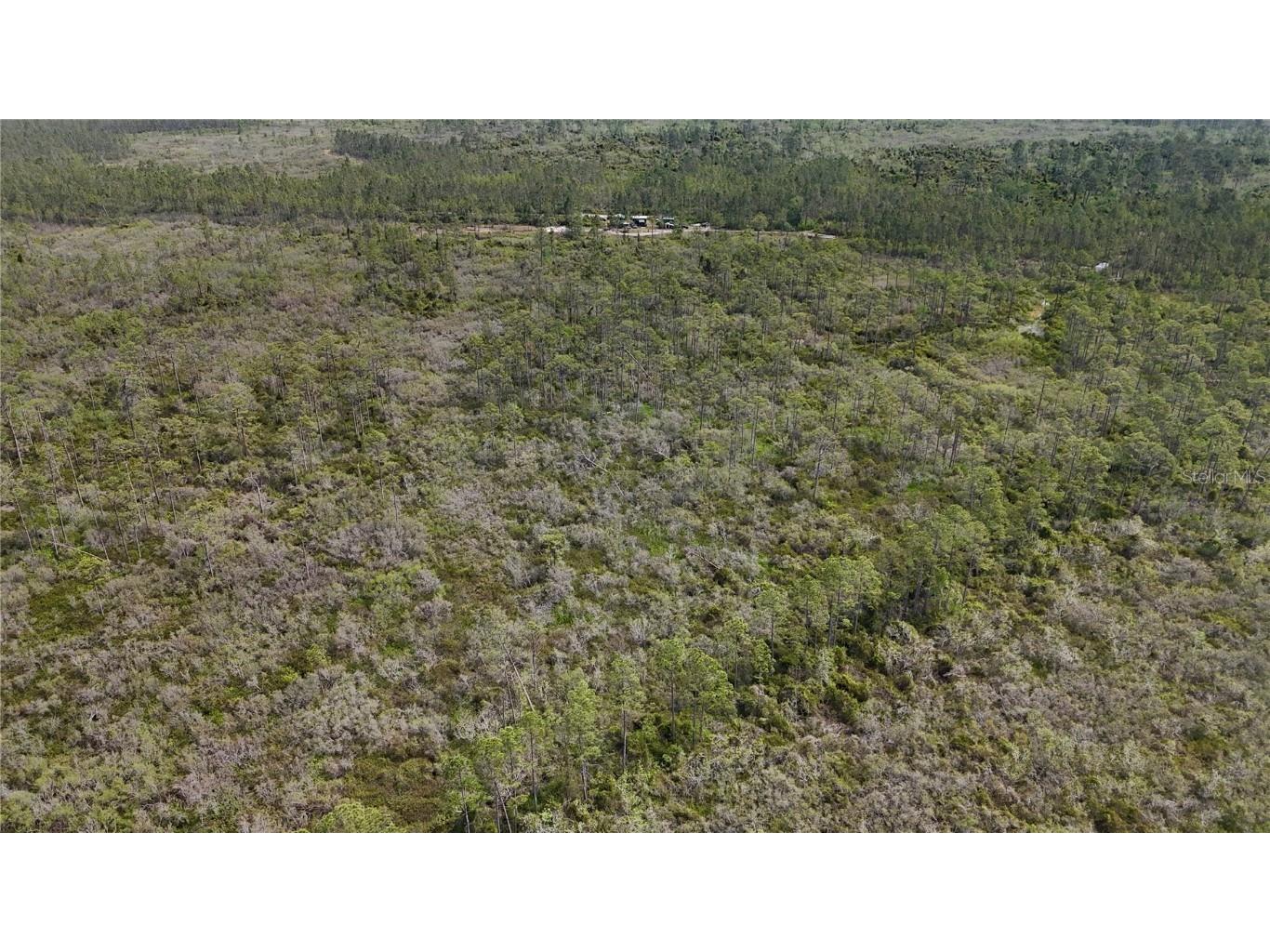 Rock Island Road Perry FL 32347 OM700564 image69