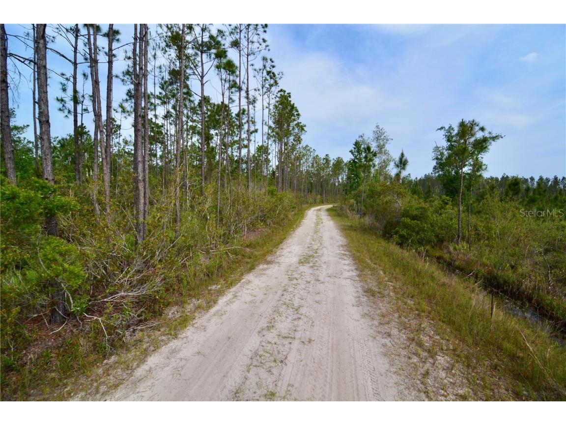 Rock Island Road Perry FL 32347 OM700564 image7