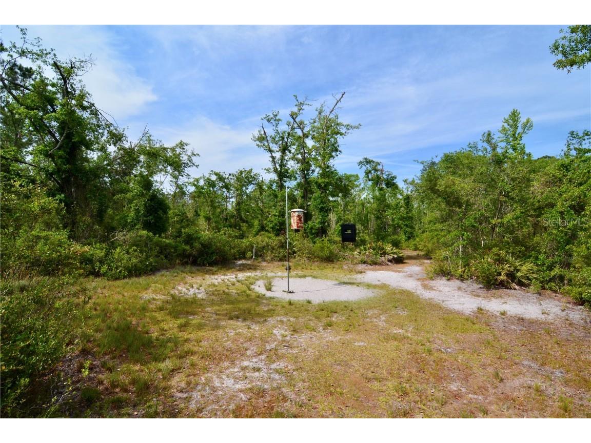 Rock Island Road Perry FL 32347 OM700564 image8