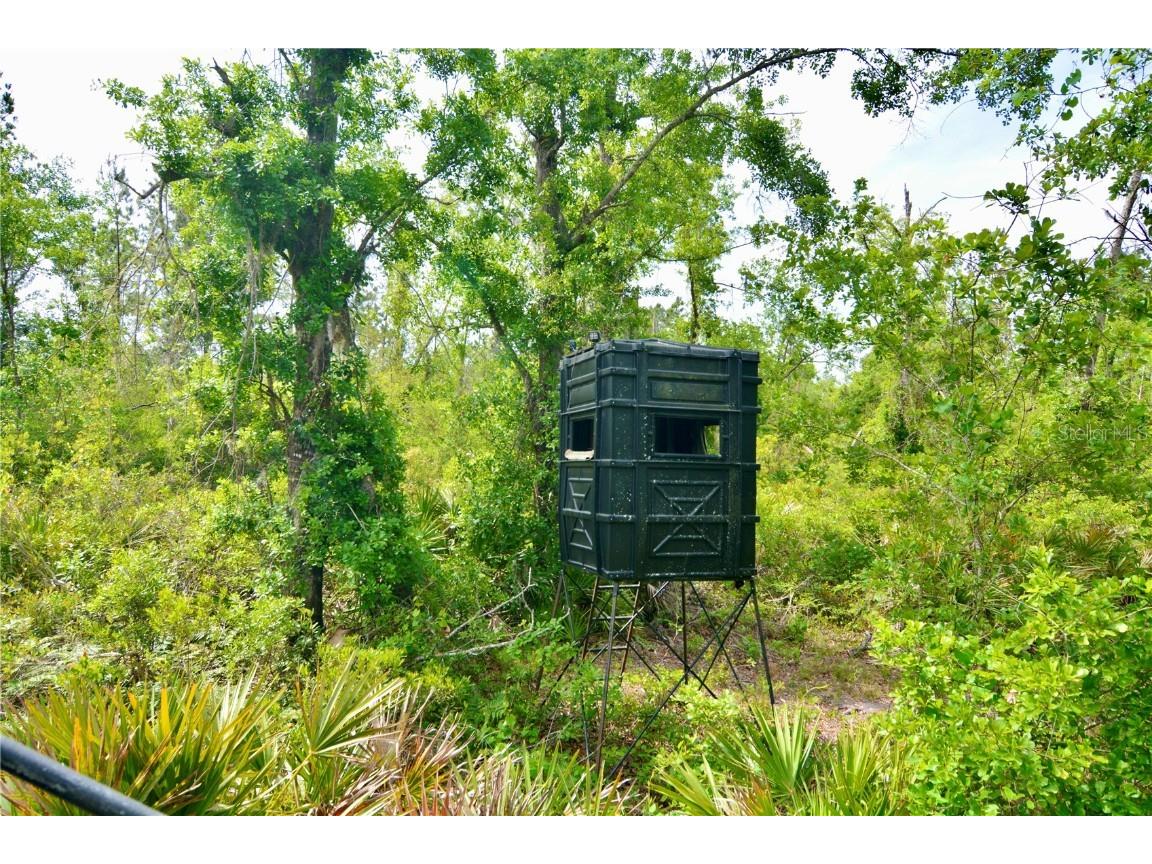 Rock Island Road Perry FL 32347 OM700564 image9