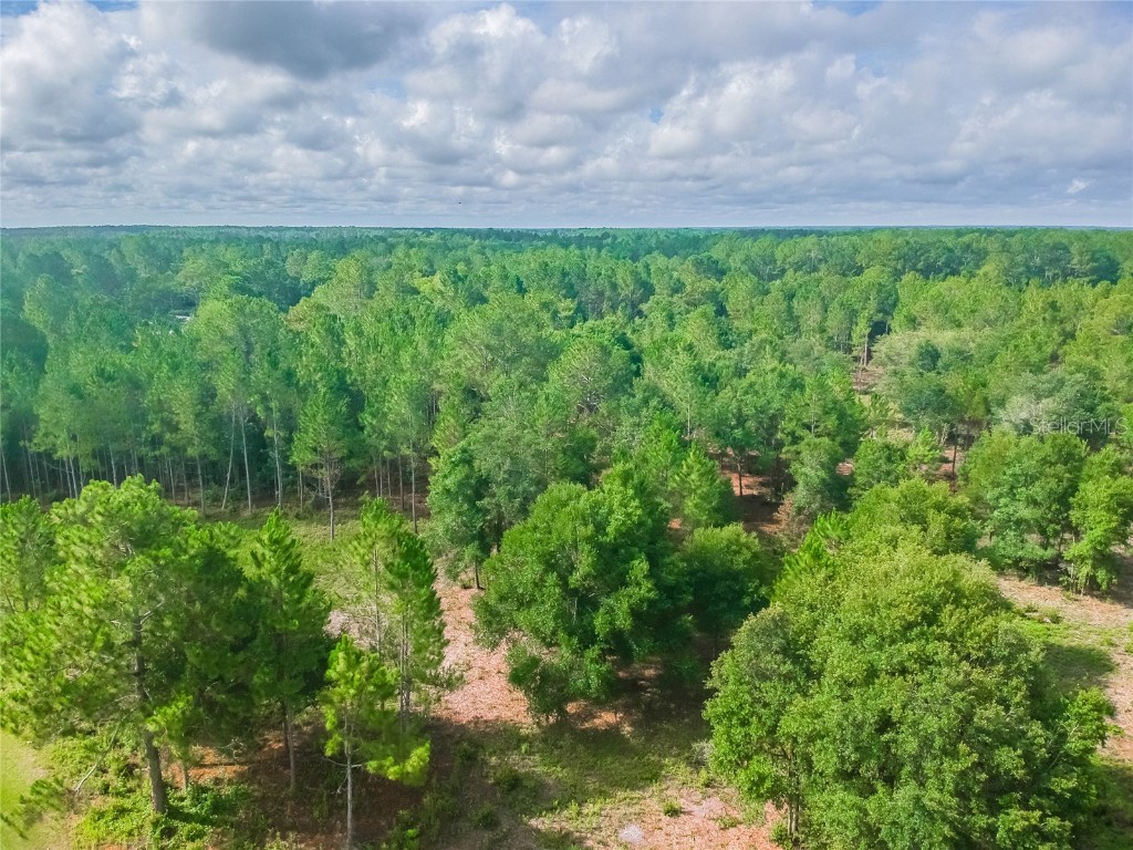 Rockridge Road Lakeland FL 33809 L4923796 image1