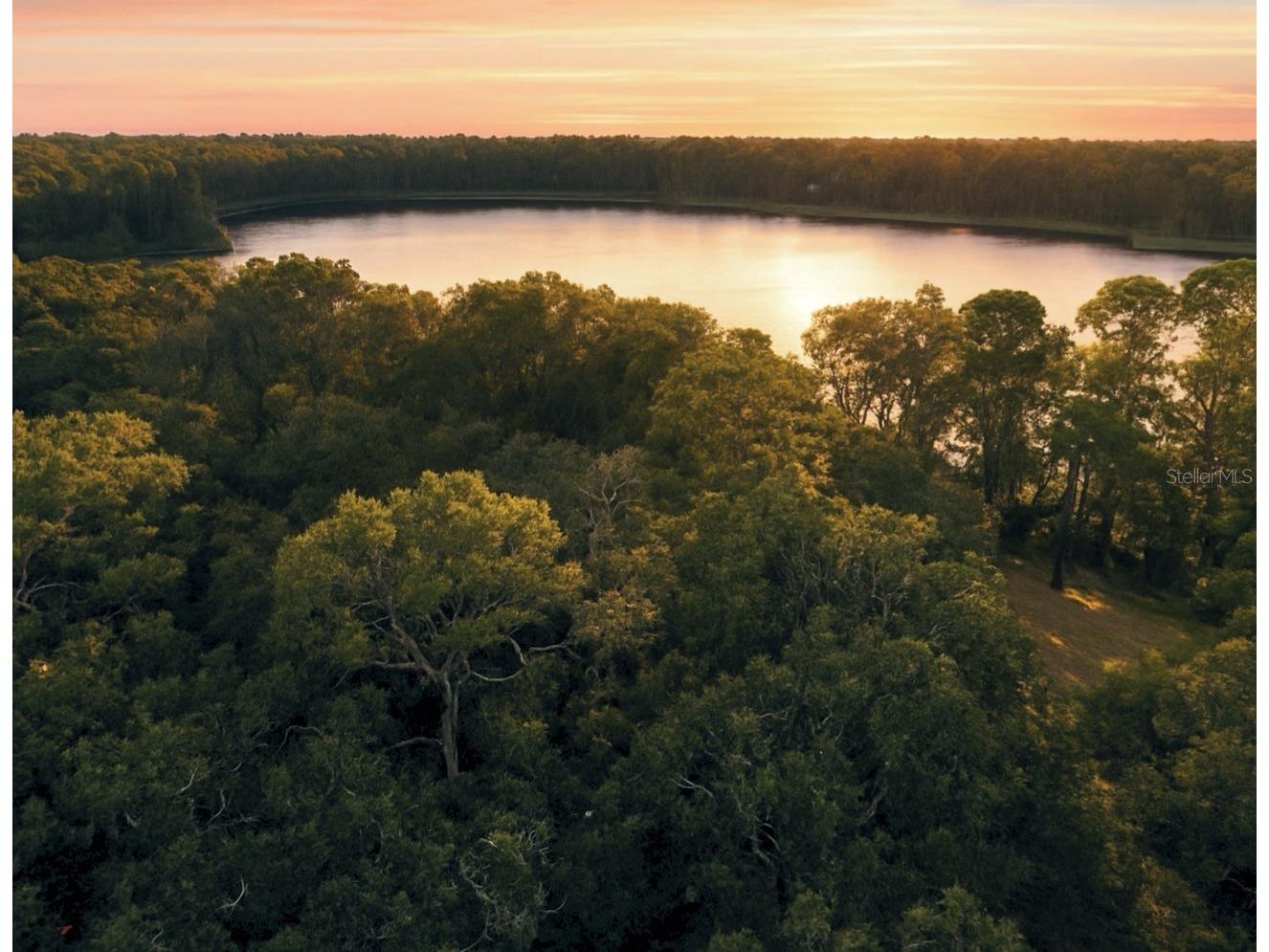 Rogers Road Odessa FL 33556 TB8426779 image1