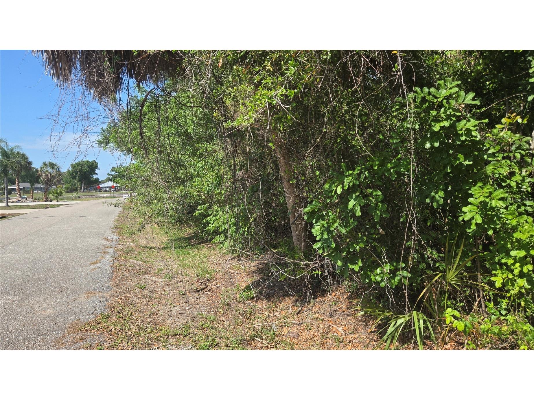 Rolla Road Venice FL 34293 N6143768 image2