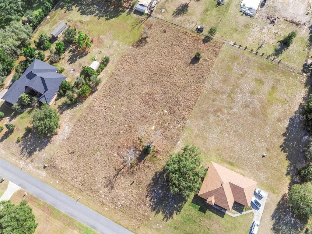 Rolling Oak Road Sorrento FL 32776 V4946164 image3