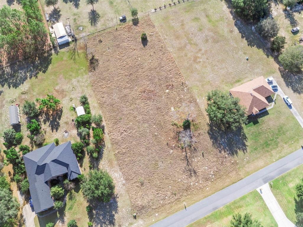 Rolling Oak Road Sorrento FL 32776 V4946164 image4