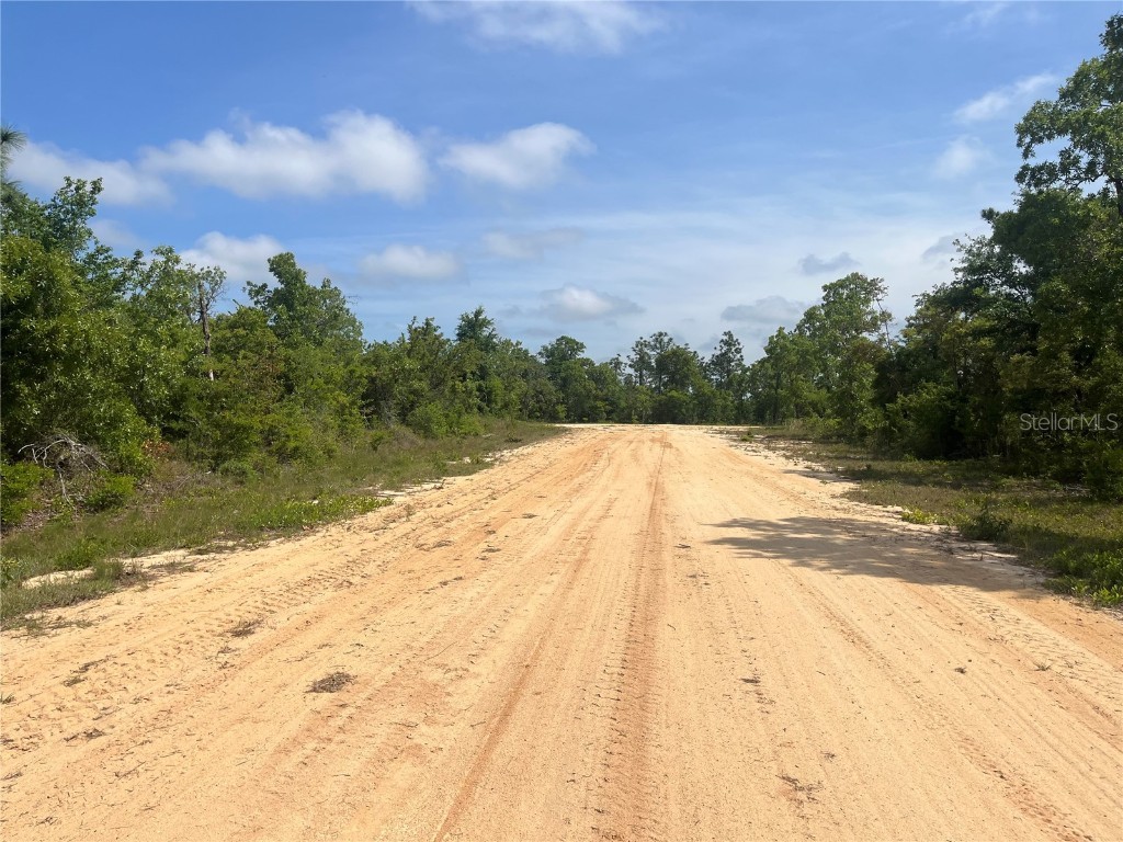 Rome Avenue Alford FL 32420 OK225321 image2