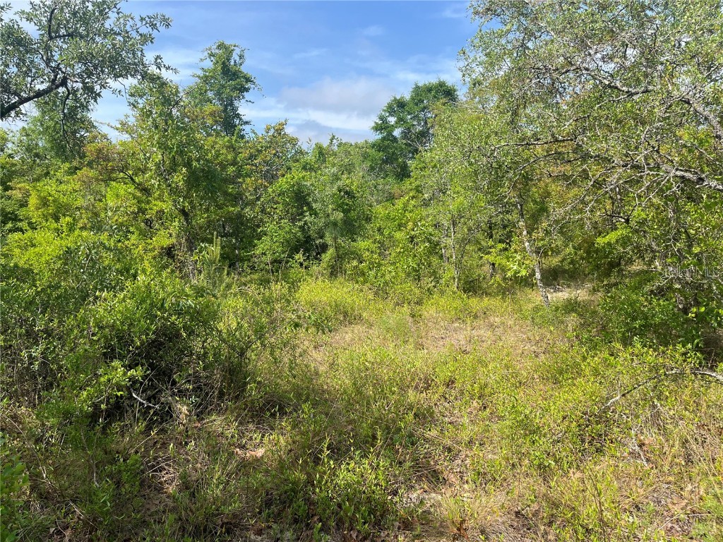 Rome Avenue Alford FL 32420 OK225321 image3