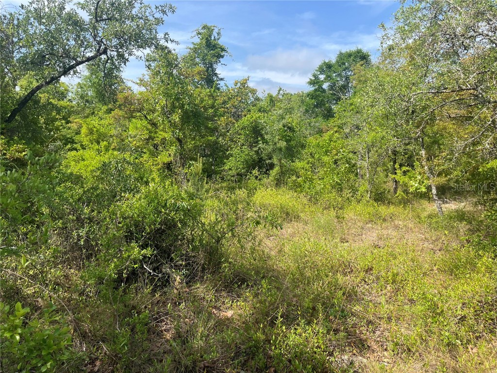 Rome Avenue Alford FL 32420 OK225321 image4