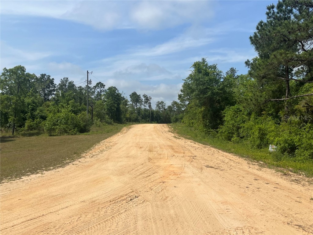 Rome Avenue Alford FL 32420 OK225321 image6