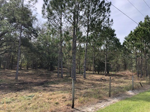 Ronald Reagan Parkway Davenport FL 33837 O5987857 image1