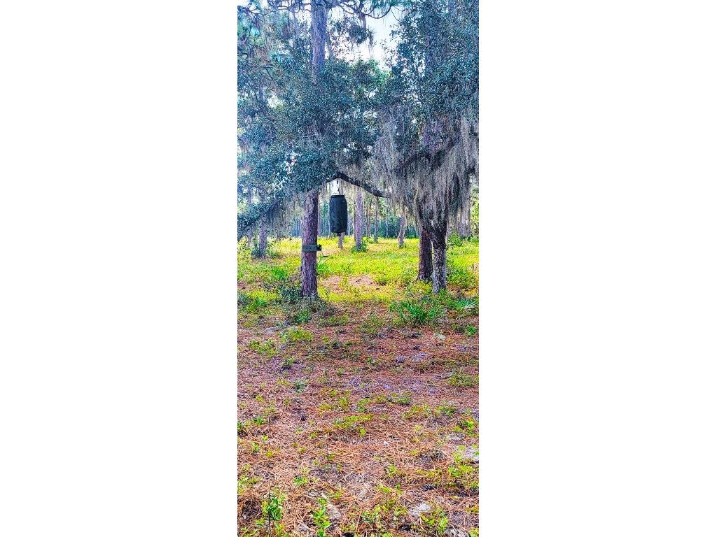 Rosalie Lake Road Lake Wales FL 33898 P4936825 image6