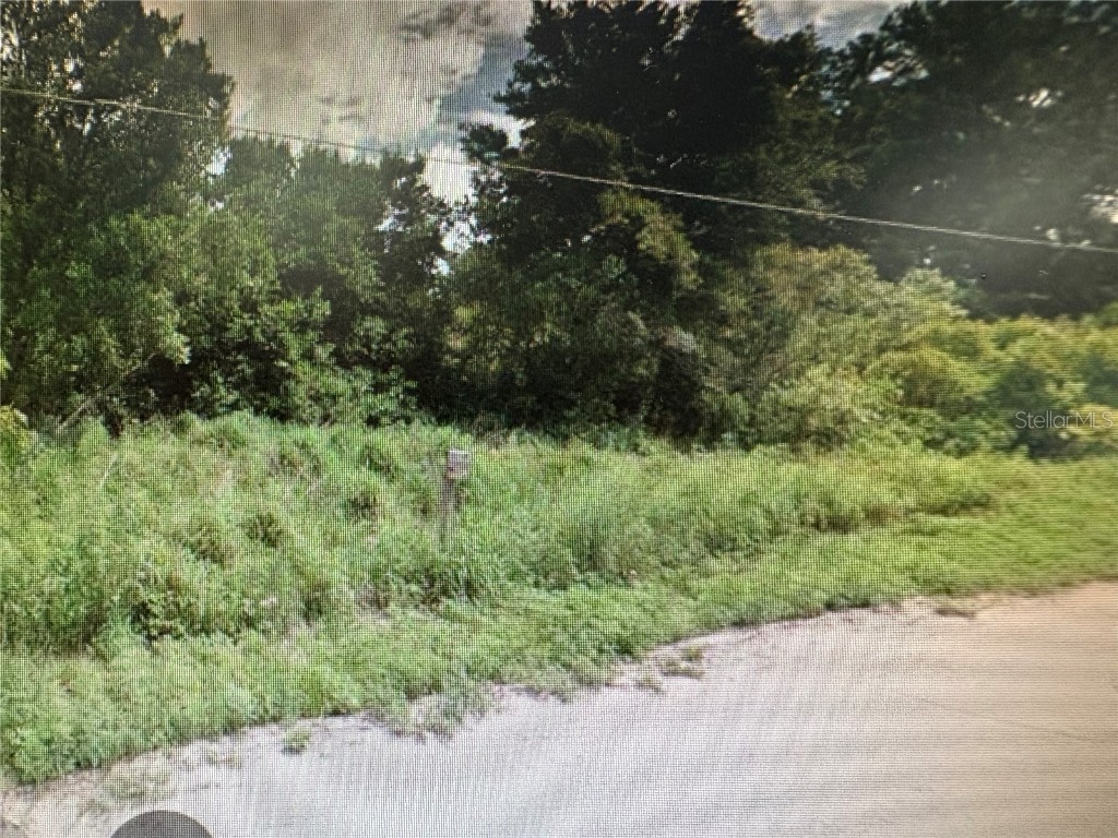 Rose Avenue Leesburg FL 34788 TB8398190 image1