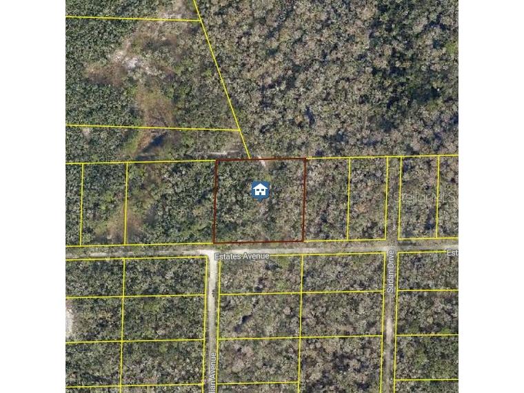 Rose Bloom Ave Webster FL 33597 O6349219 image1