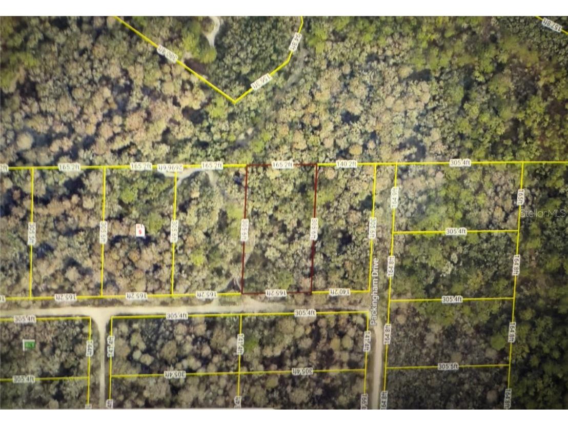 Rose Bloom Avenue Webster FL 33597 G5101091 image1