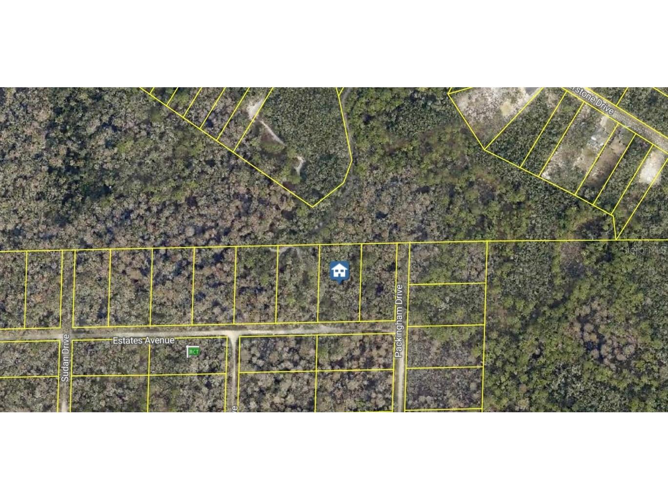 Rose Bloom Avenue Webster FL 33597 G5101091 image2