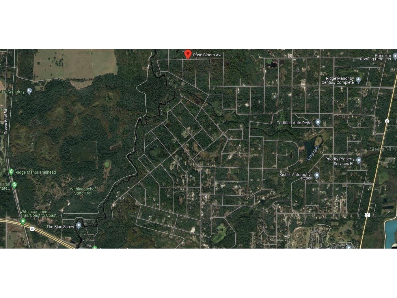 Rose Bloom Avenue Webster FL 33597 W7866772 image1