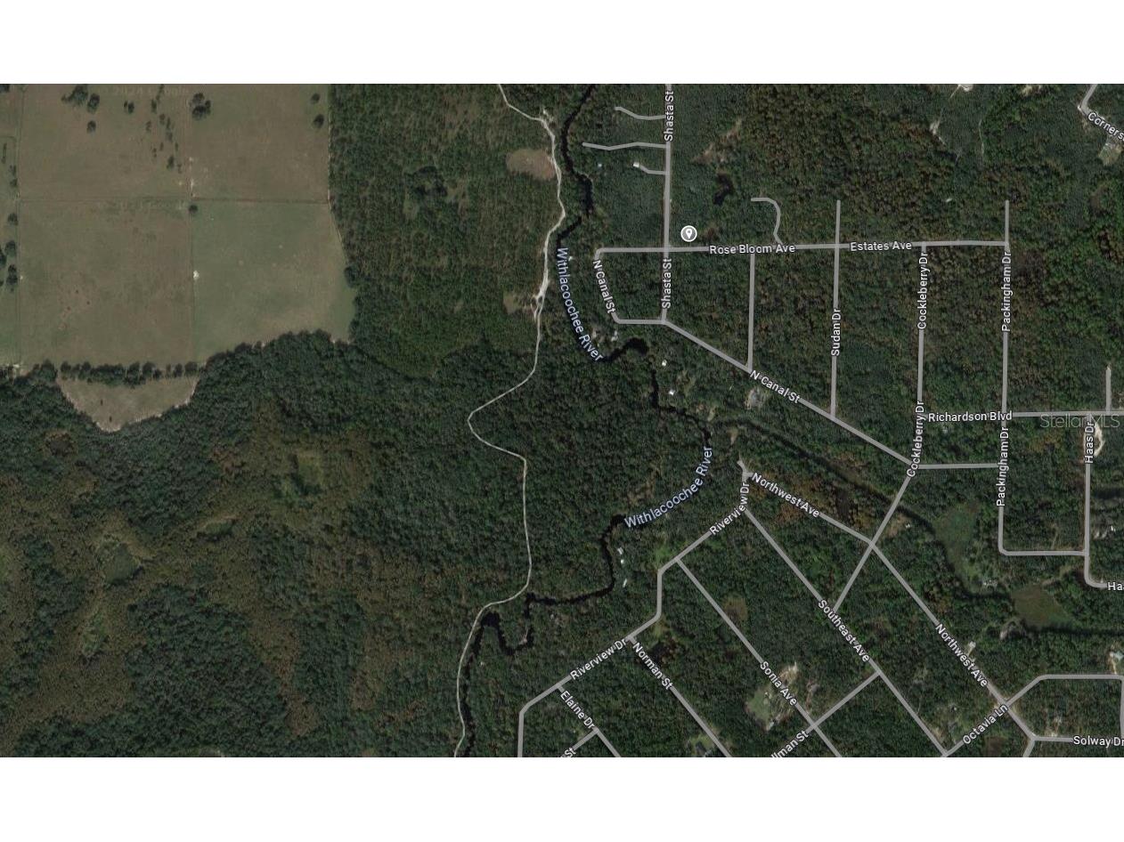 Rose Bloom Avenue Webster FL 33597 W7866774 image1