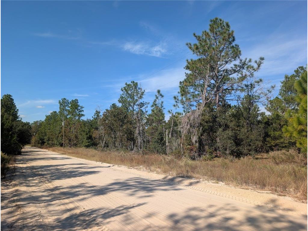 Rose Trail Interlachen FL 32148 A4671773 image13