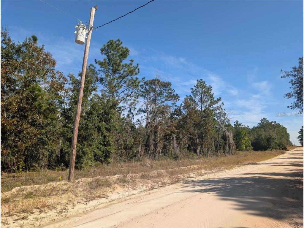 Rose Trail Interlachen FL 32148 A4671773 image17