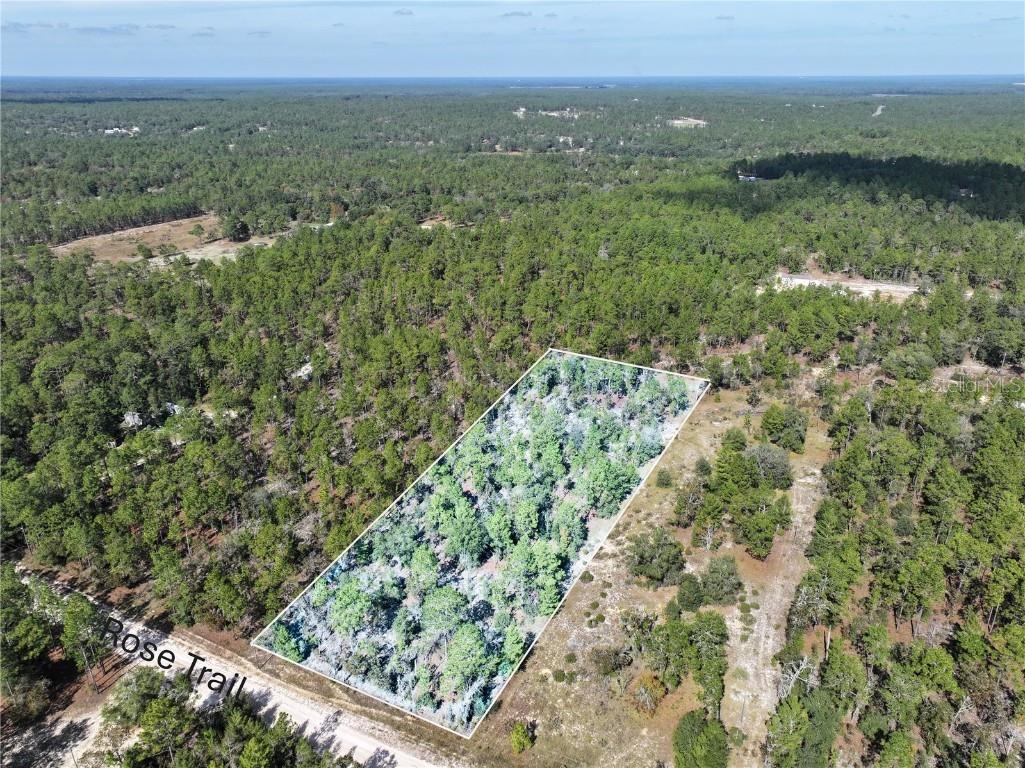 Rose Trail Interlachen FL 32148 A4671773 image2