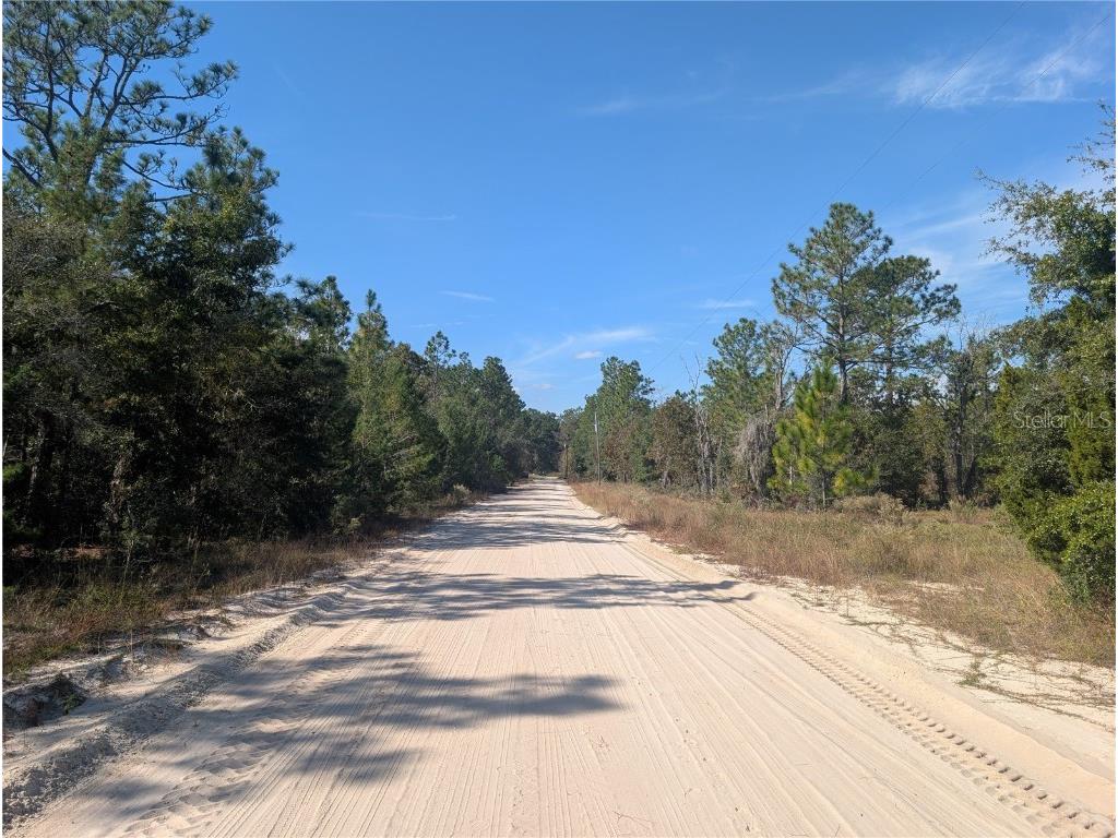 Rose Trail Interlachen FL 32148 A4671773 image21