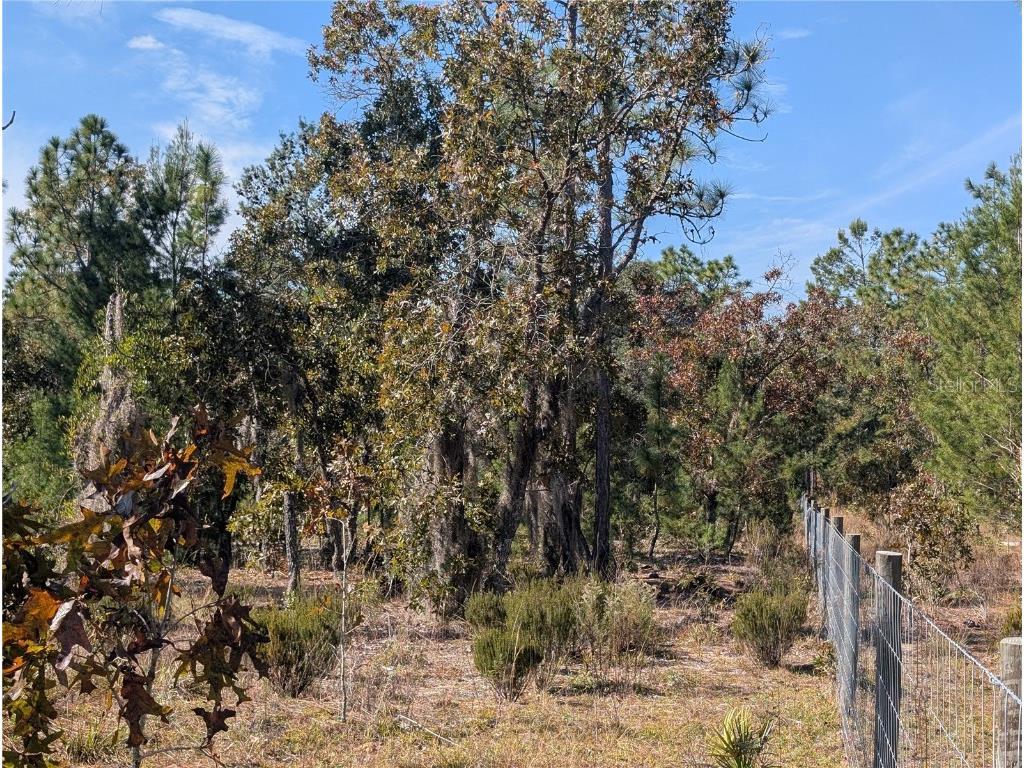 Rose Trail Interlachen FL 32148 A4671773 image22