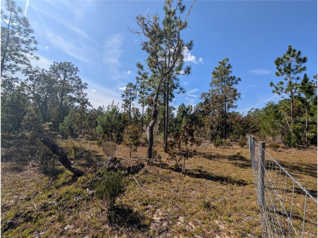 Rose Trail Interlachen FL 32148 A4671773 image23