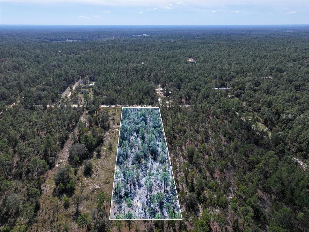 Rose Trail Interlachen FL 32148 A4671773 image3